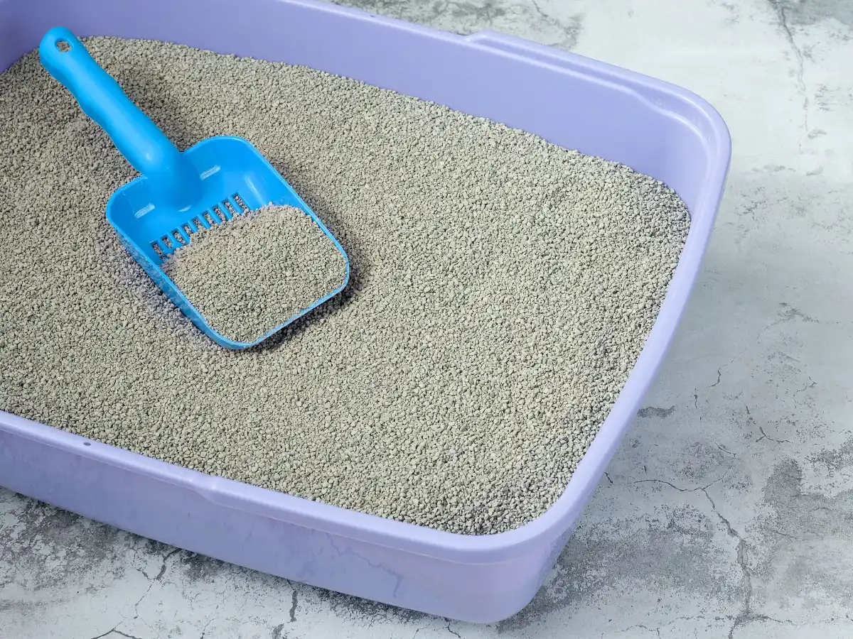 Person wearing gloves cleaning a cat litter tray with a sponge