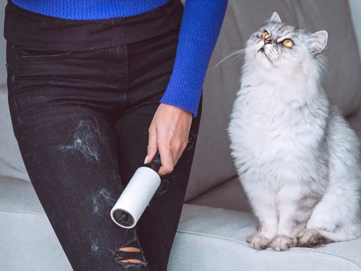 Ropa oscura cubierta de pelos blancos de perro o gato