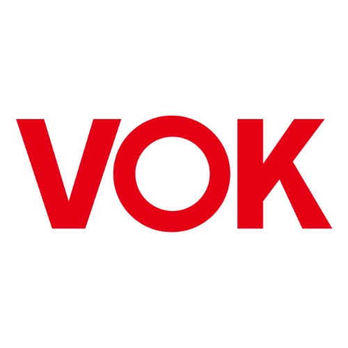 Logo VOK Electronics