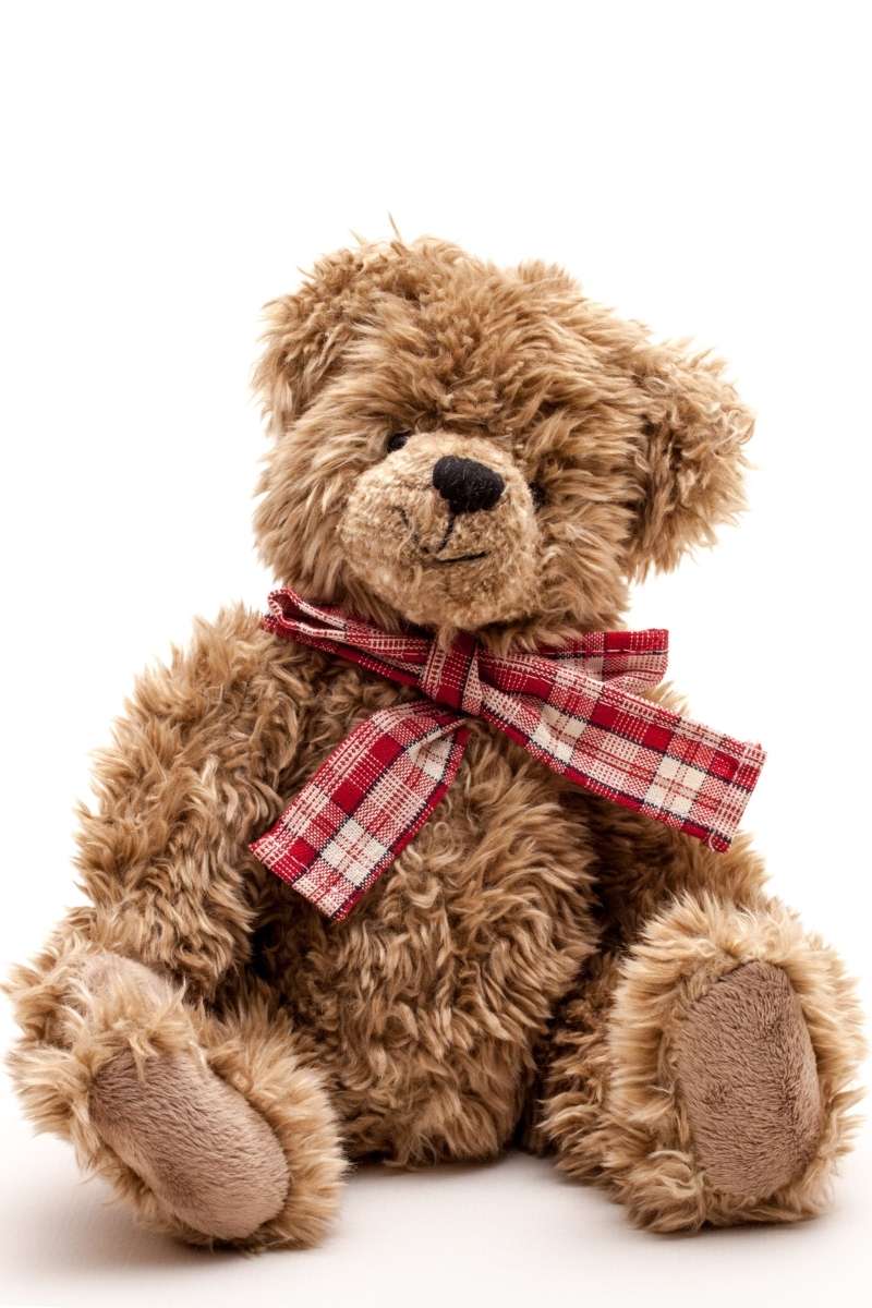 Peluche limpio lavado en lavadora